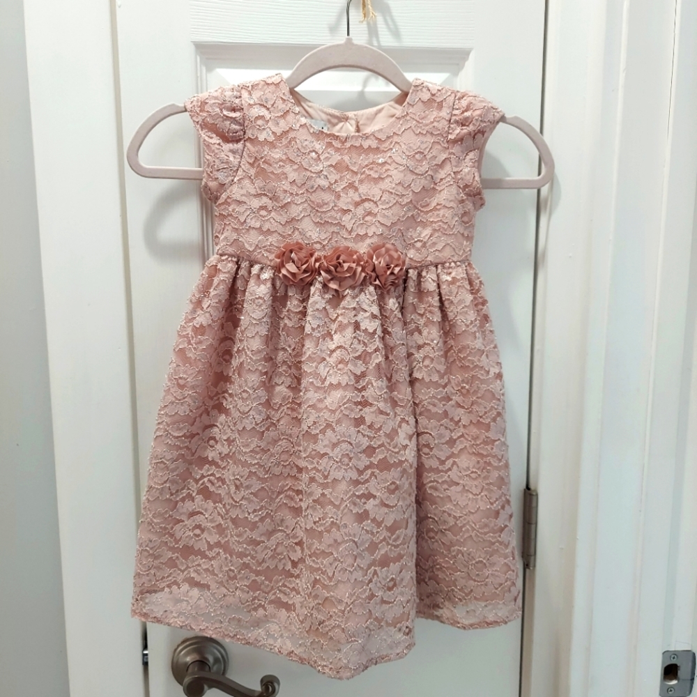 Mia and mimi pink Lace dress With Under Slip Size 4T